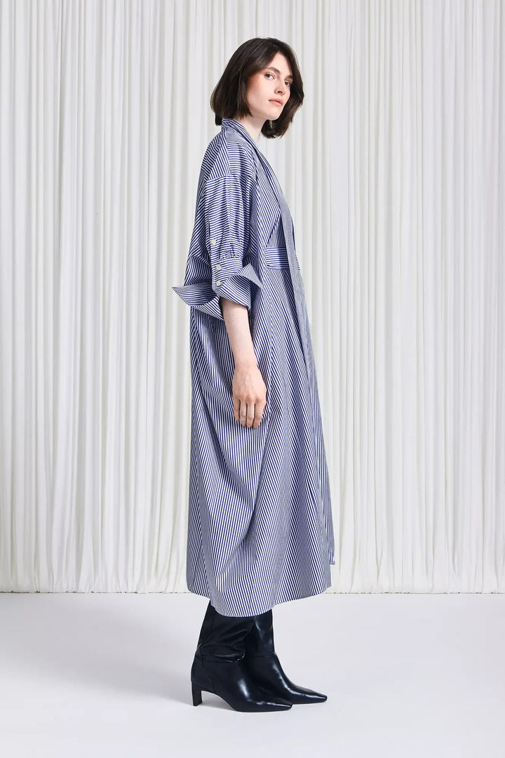 The Emotive Dress in Blue Striped Cotton Poplin – palmer//harding