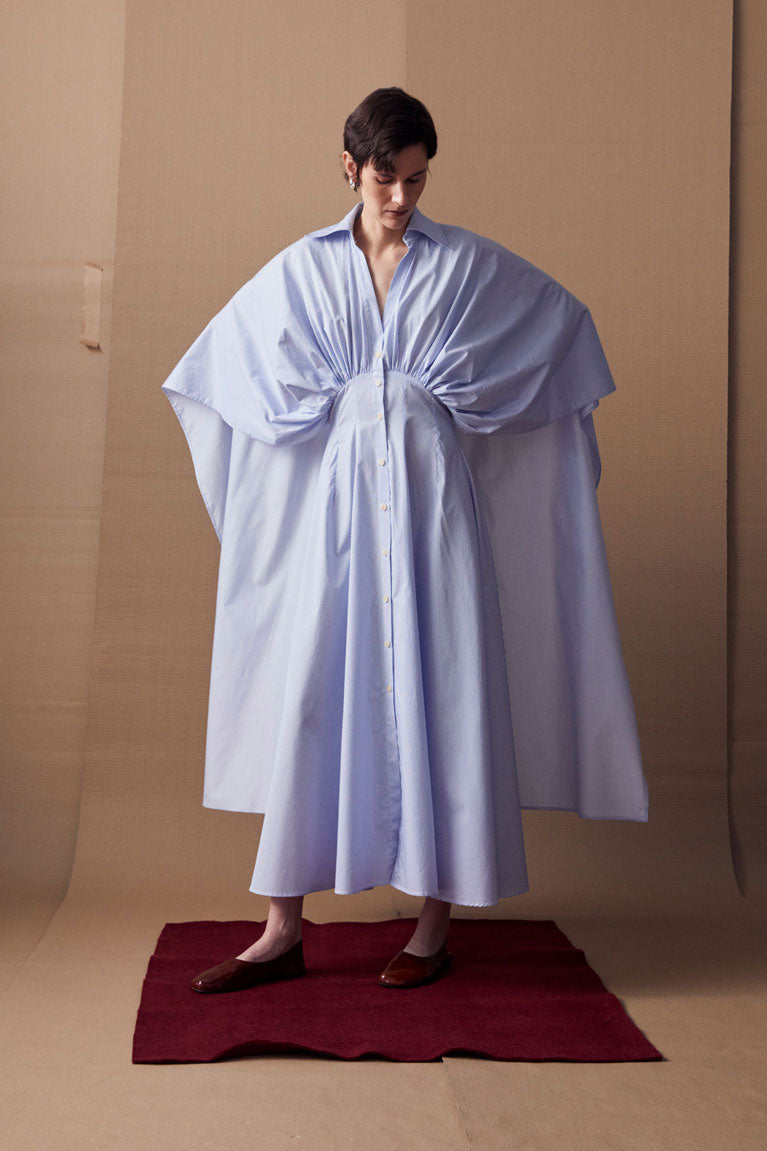 The Resilient Dress in Blue Cotton Poplin Stripe – palmer//harding