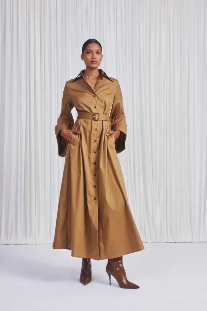 The Intention Dress